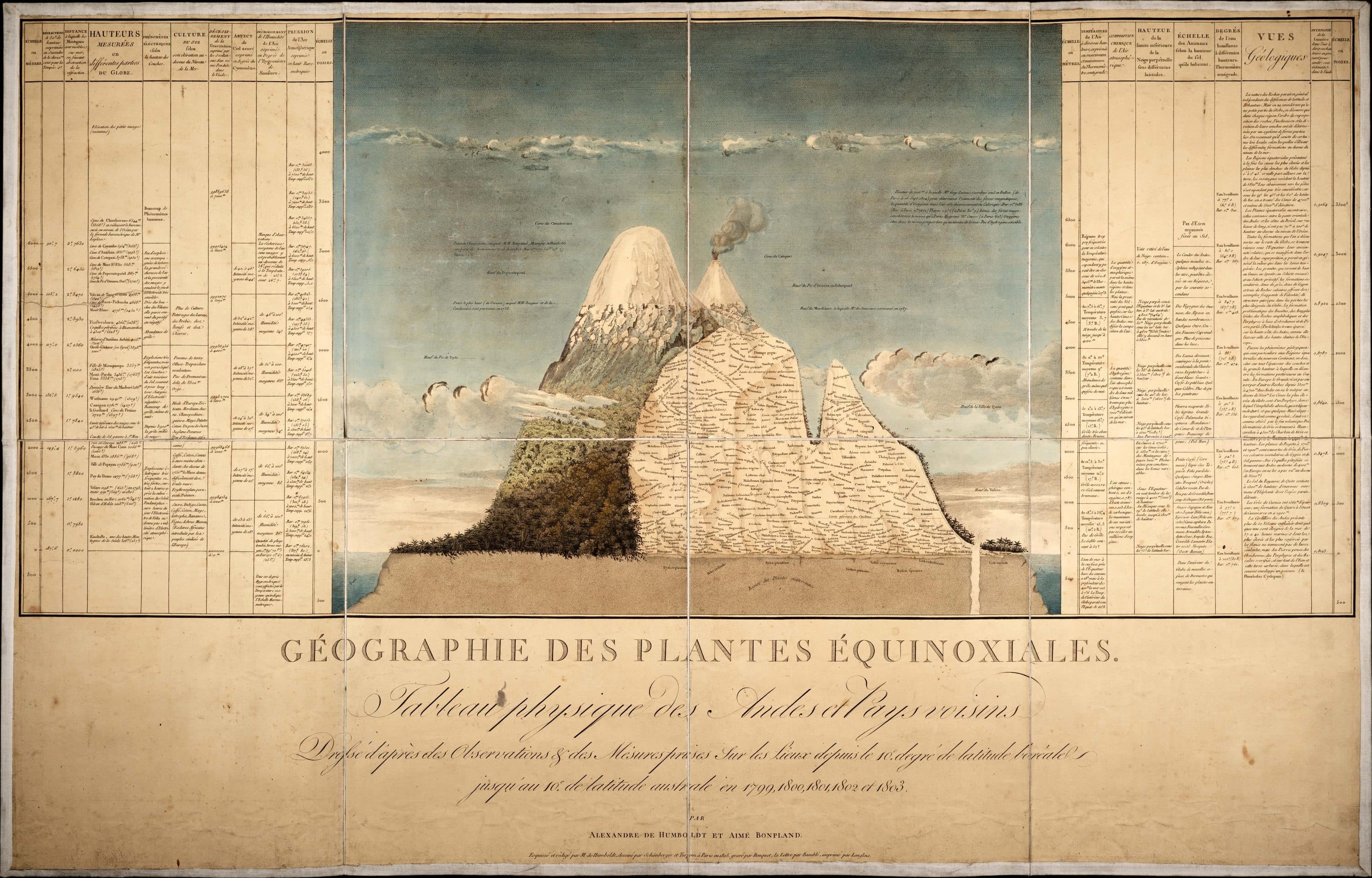 Hand-coloured profile of Chimborazo, with plant names set by altitude and columns of data on each side